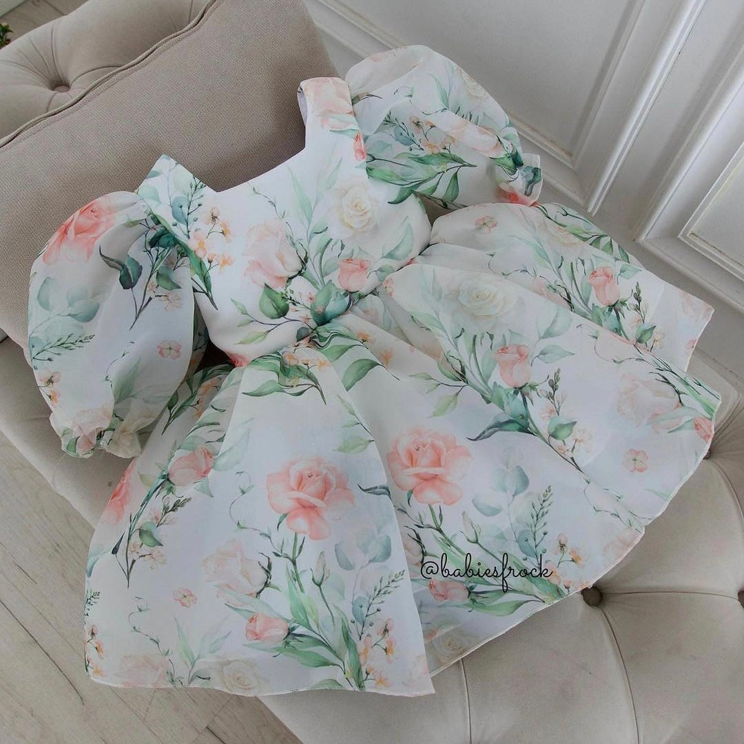 Organza Flower-Printed Dress